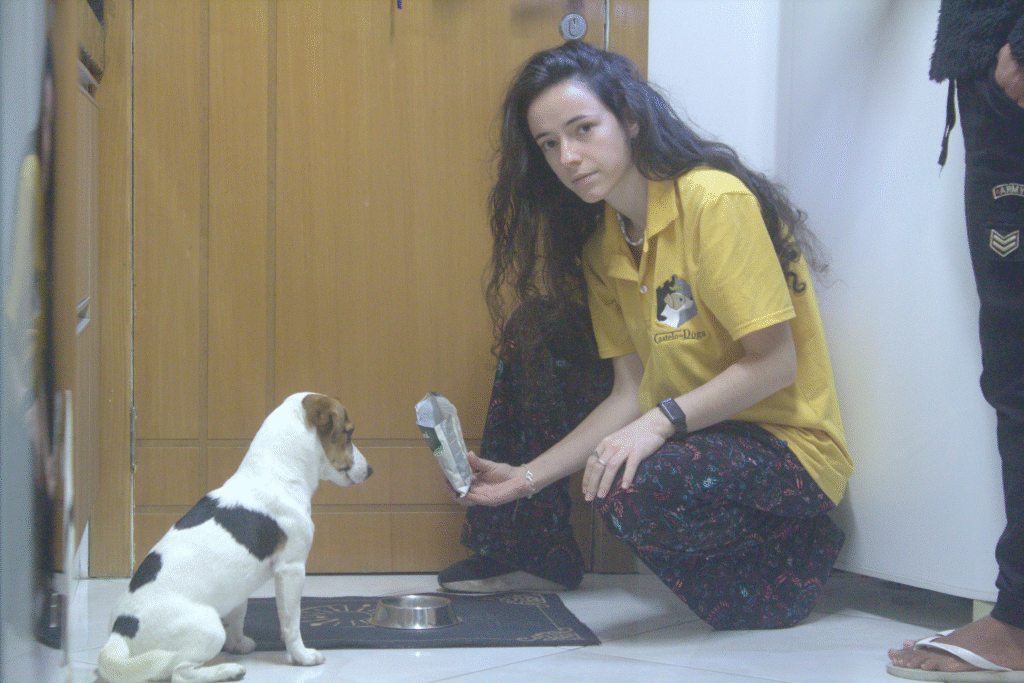 Pet Sitter_01_07_2025