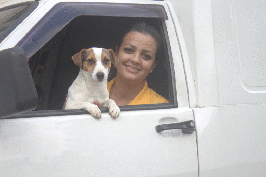 taxi dog470_01_07_2025